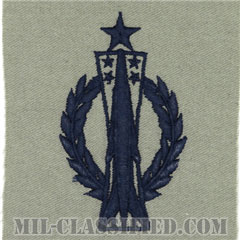 ミサイル運用章 (シニア)（Missile Operations Badge, Senior）[ABU/パッチ]画像