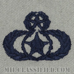 安全専門家章 (マスター)（Safety Specialist Badge, Master）[ABU/パッチ]の画像