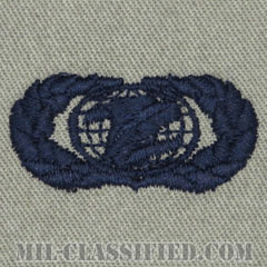 情報管理章 (ベーシック)（Information Management/Administration Badge, Basic）[ABU/パッチ]の画像