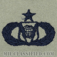 指揮統制章 (シニア)（Command and Control Badge, Senior）[ABU/パッチ]の画像