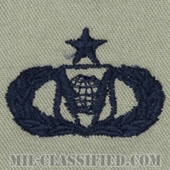 指揮統制章 (シニア)（Command and Control Badge, Senior）[ABU/パッチ]画像