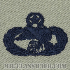 輸送章 (マスター)（Transportation Badge, Master）[ABU/パッチ]の画像