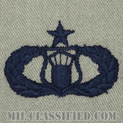 航空交通管制章 (シニア)（Air Traffic Control Badge, Senior）[ABU/パッチ]の画像