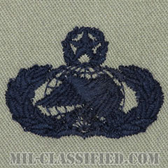 兵站章 (マスター)（Logistics Badge, Master）[ABU/パッチ]の画像