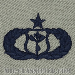 気象章 (シニア)（Meteorologist Badge, Senior）[ABU/パッチ]の画像