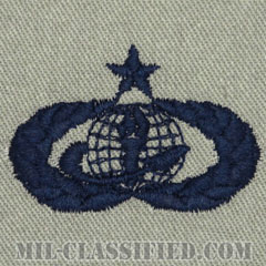 部隊支援記章 (シニア)（Force Support Badge, Senior）[ABU/パッチ]の画像