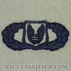 作戦支援章 (ベーシック)（Operations Support Badge, Basic）[ABU/パッチ]の画像