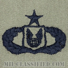 作戦支援章 (シニア)（Operations Support Badge, Senior）[ABU/パッチ]の画像