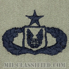 作戦支援章 (シニア)（Operations Support Badge, Senior）[ABU/パッチ]画像