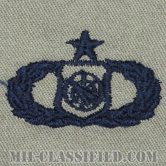 兵器指揮章 (シニア)（Weapons Director Badge, Senior）[ABU/パッチ]の画像