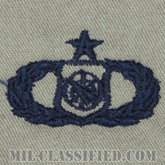 兵器指揮章 (シニア)（Weapons Director Badge, Senior）[ABU/パッチ]画像