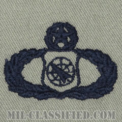 兵器指揮章 (マスター)（Weapons Director Badge, Master）[ABU/パッチ]の画像