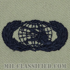 通信・情報管理章 (ベーシック)（Communications and Information Management Badge, Basic）[ABU/パッチ]の画像
