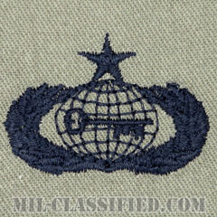 情報章 (シニア)（Intelligence Badge, Senior）[ABU/パッチ]の画像