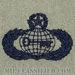 情報章 (マスター)（Intelligence Badge, Master）[ABU/パッチ]の画像