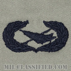 歴史家章 (ベーシック)（Historian Badge, Basic）[ABU/パッチ]の画像