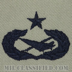 歴史家章 (シニア)（Historian Badge, Senior）[ABU/パッチ]の画像