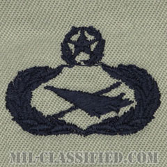 歴史家章 (マスター)（Historian Badge, Master）[ABU/パッチ]の画像