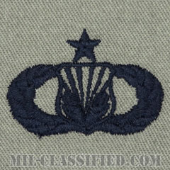 従軍牧師援助章 (シニア)（Chaplain Assistant Badge, Senior）[ABU/パッチ]の画像