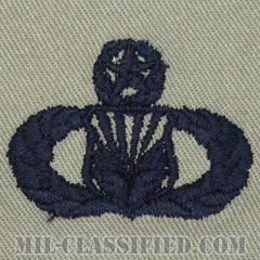 従軍牧師援助章 (マスター)（Chaplain Assistant Badge, Master）[ABU/パッチ]の画像