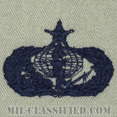 支援章 (シニア)（Services Badge, Senior）[ABU/パッチ]の画像