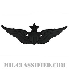 飛行士章 (シニア・パイロット)（Army Aviator (Pilot), Senior）[サブデュード（ブラックメタル）/バッジ]の画像