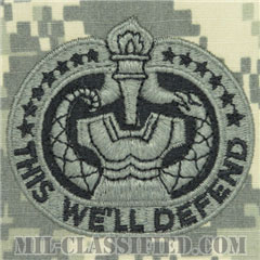 教育係軍曹識別章（Drill Sergeant Identification Badge）[UCP（ACU）/パッチ]の画像