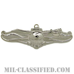 Enlisted Information Dominance Warfare Specialist [カラー/鏡面仕上げ/バッジ]の画像