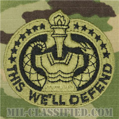 教育係軍曹識別章（Drill Sergeant Identification Badge）[OCP（7C）/パッチ]の画像