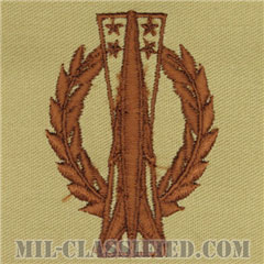 ミサイル運用章 (ベーシック)（Missile Operations Badge, Basic）[デザート/パッチ]の画像