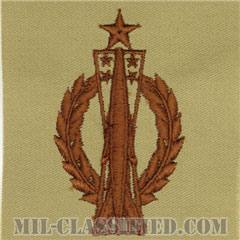ミサイル運用章 (シニア)（Missile Operations Badge, Senior）[デザート/パッチ]の画像