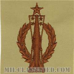 ミサイル運用章 (シニア)（Missile Operations Badge, Senior）[デザート/パッチ]画像