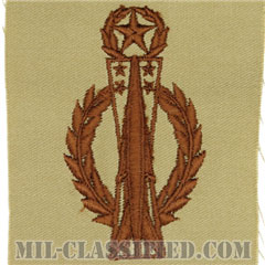 ミサイル運用章 (マスター)（Missile Operations Badge, Master）[デザート/パッチ]の画像