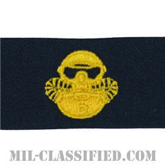 Marine Corps Combatant Diver [カバーオール/生地テープパッチ]の画像