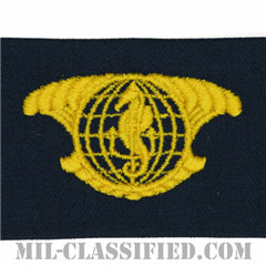 Integrated Undersea Surveillance System Officer [カバーオール/生地テープパッチ]の画像