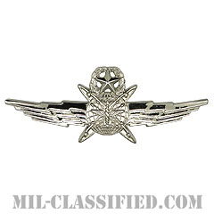 サイバースペースオペレーター章 (マスター)（Cyberspace Operator Badge, Master）[カラー/鏡面仕上げ/バッジ]の画像