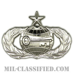 情報章 (シニア)（Intelligence Badge, Senior）[カラー/鏡面仕上げ/バッジ]の画像