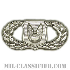 作戦支援章 (ベーシック)（Operations Support Badge, Basic）[カラー/鏡面仕上げ/バッジ]の画像