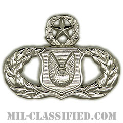 作戦支援章 (マスター)（Operations Support Badge, Master）[カラー/鏡面仕上げ/バッジ]の画像