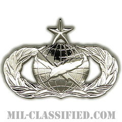 広報章 (シニア)（Public Affairs Badge, Senior）[カラー/鏡面仕上げ/バッジ]の画像
