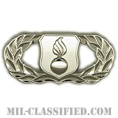 弾薬章 (ベーシック)（Munitions Badge, Basic）[カラー/鏡面仕上げ/バッジ]の画像