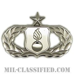 弾薬章 (シニア)（Munitions Badge, Senior）[カラー/鏡面仕上げ/バッジ]の画像