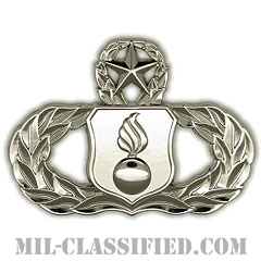 弾薬章 (マスター)（Munitions Badge, Master）[カラー/鏡面仕上げ/バッジ]の画像