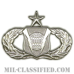 指揮統制章 (シニア)（Command and Control Badge, Senior）[カラー/鏡面仕上げ/バッジ]画像