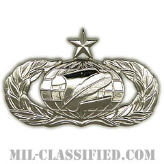 情報管理章 (シニア)（Information Management/Administration Badge, Senior）[カラー/鏡面仕上げ/バッジ]の画像