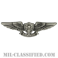 Enlisted Aviation Warfare Specialist [カラー/燻し銀/バッジ]の画像