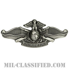 Fleet Marine Force Enlisted Warfare Specialist [カラー/燻し銀/バッジ]の画像