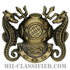 Diving [カラー/燻し金/バッジ]の画像