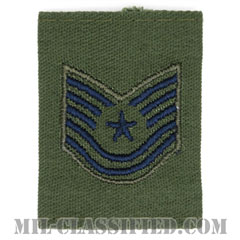 技能軍曹（Technical Sergeant）[サブデュード（Subdued）/ゴアテックスパーカー用スライドオン空軍階級章]の画像
