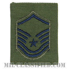 曹長（Master Sergeant）[サブデュード（Subdued）/ゴアテックスパーカー用スライドオン空軍階級章]画像